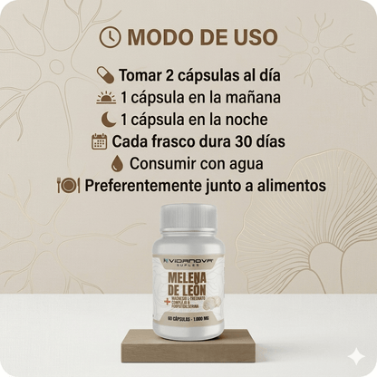 Melena de Leon Fortificada + Magnesio L-Treonato - 60 capsulas