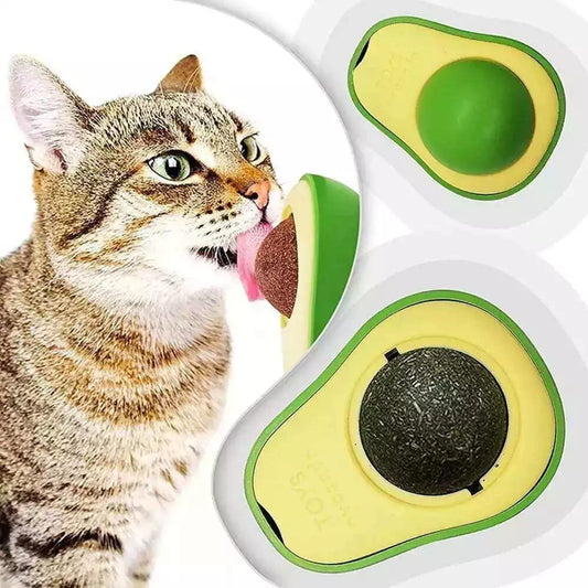 Hierba Gatera Catnip
